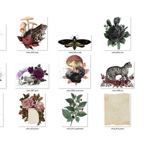 May include: A collection of 12 digital images featuring various gothic and vintage illustrations. The images include a black crow, a skull with roses, a frog, a moth, a mushroom, a cat, a candle, a bottle, a spider web, a rose, a nightshade plant, and two pieces of aged paper.
