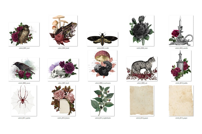 May include: A collection of 12 digital images featuring various gothic and vintage illustrations. The images include a black crow, a skull with roses, a frog, a moth, a mushroom, a cat, a candle, a bottle, a spider web, a rose, a nightshade plant, and two pieces of aged paper.
