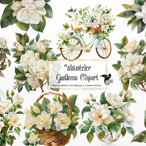 Watercolor Gardenia Clipart - spring wedding flowers in PNG format instant download for commercial use