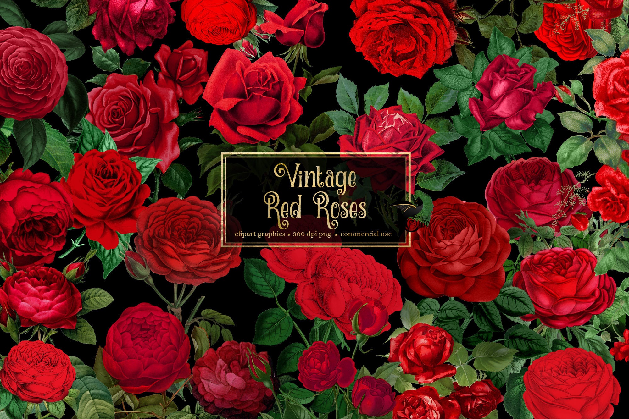Vintage Red Roses Clipart Antique Rose Illustrations PNG | Etsy