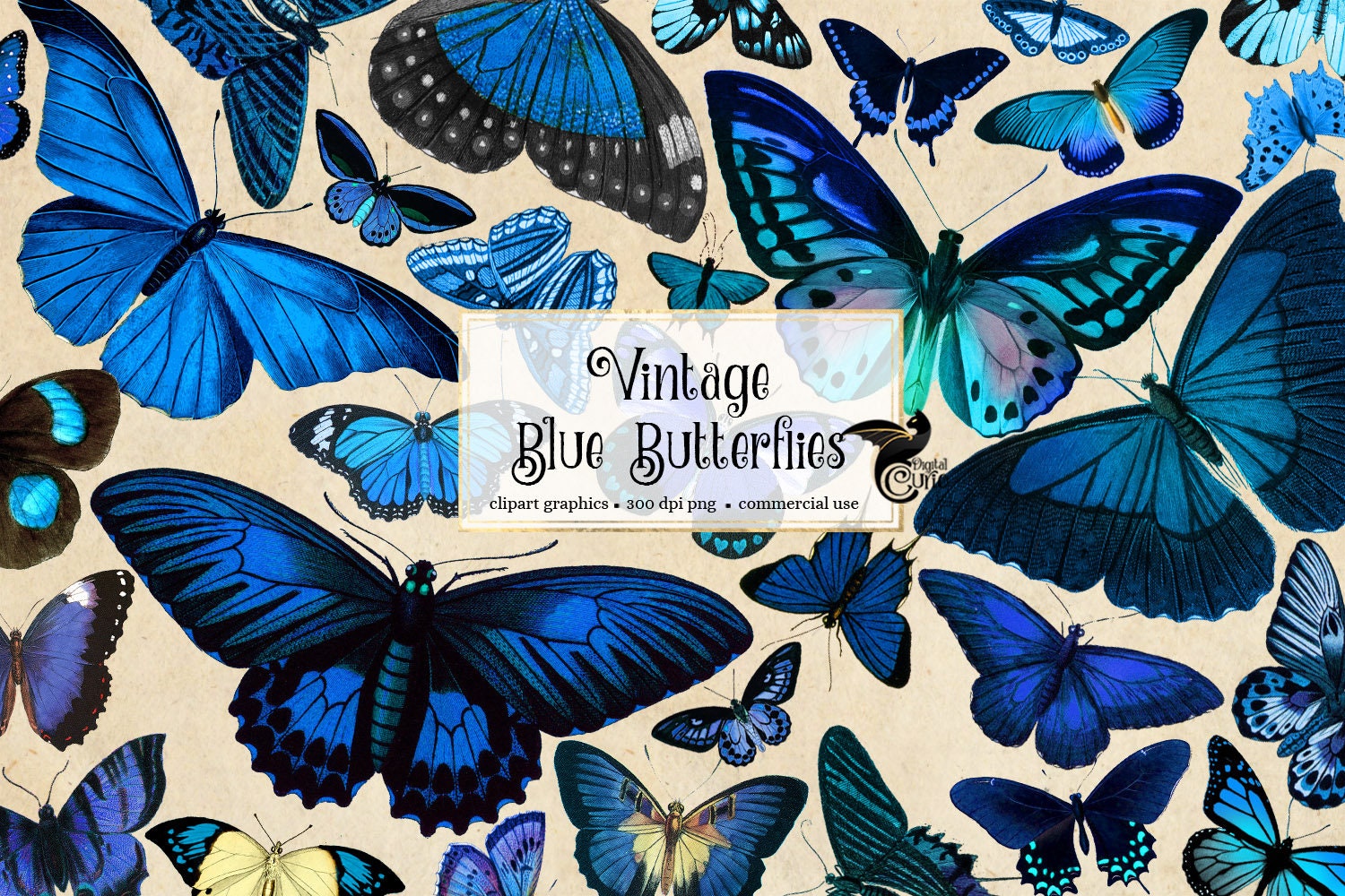 vintage blue butterflies vintage butterfly clipart antique etsy