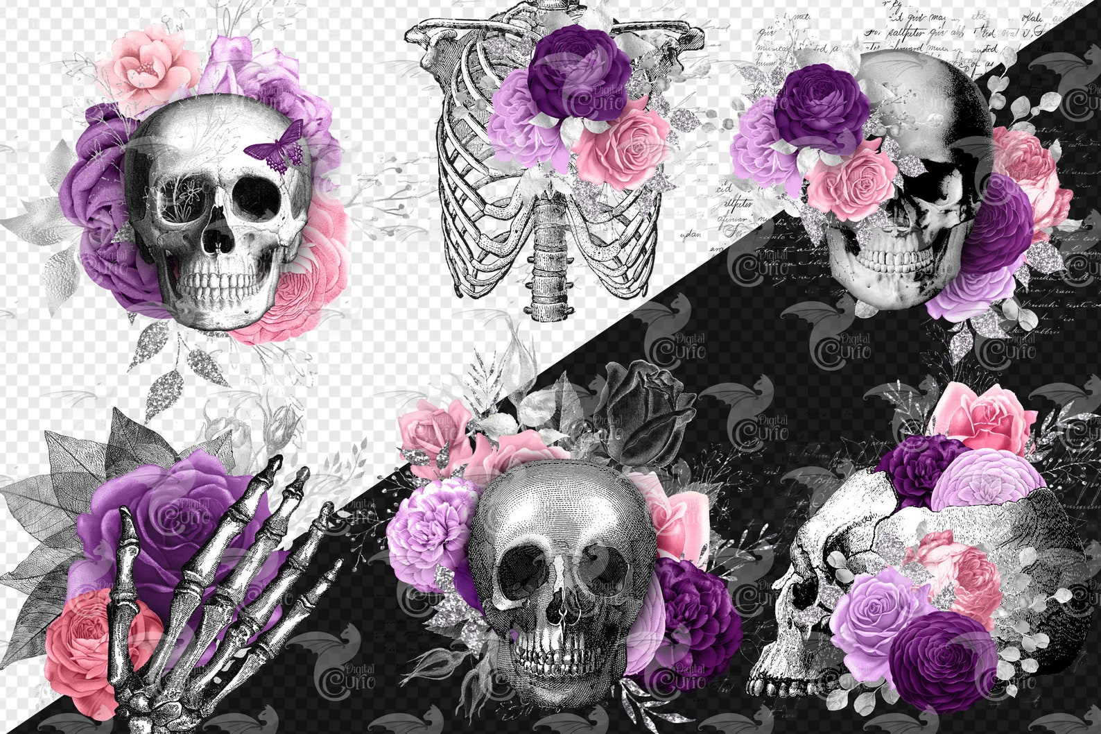 Pink and Purple Floral Skull Elements Antique Illustrations | Etsy