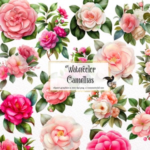 Watercolor Camellias Clipart - floral camellia flowers and bouquets in PNG format instant download for commercial use
