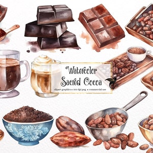 Watercolor Sacred Cacao Clipart - cocoa and dark chocolate cacao beans graphics PNG format instant download for commercial use