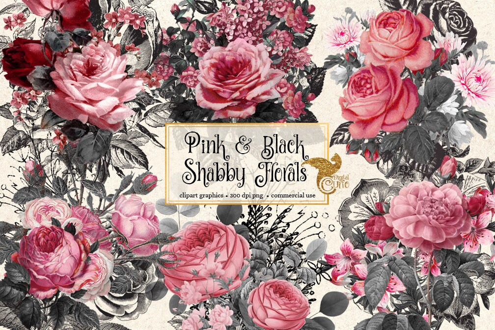 Shabby Chic Pink and Black Florals 