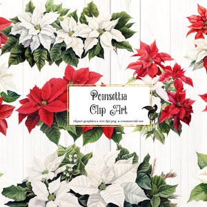 Poinsettias Clip Art - flores digitais do feriado de Natal e azevinho em vermelho e branco com glitter dourado para uso comercial