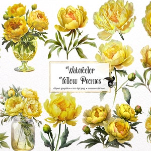 Aquarell Gelbe Pfingstrose Clipart - Pfingstrosen im PNG-Format sofort download für kommerzielle Nutzung