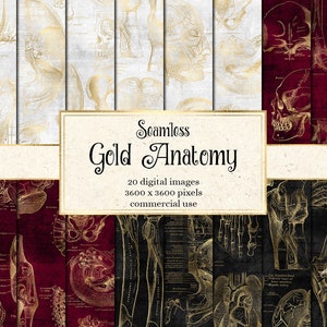 Gold Anatomy Digital Paper, illustrazioni anatomiche senza soluzione di continuità antico afflitto grunge texture stampabile scrapbook carta uso commerciale