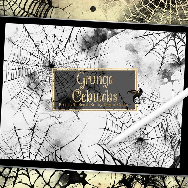 Procreate Grunge Cobweb Brush Set - 16 Stempel und dynamische Pinsel aus Spinnennetzen