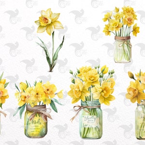 Watercolor Daffodil Clipart - Spring Flowers in PNG Format Instant ...