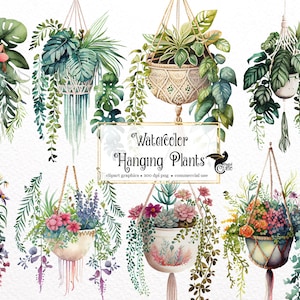 Aquarell Hängepflanzen Clipart - Makramee Pflanzer Blumen Aquarell PNG-Format sofortiger Download für kommerzielle Nutzung