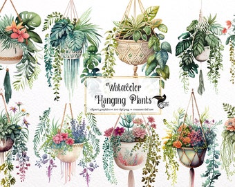 Watercolor Hanging Plants Clipart - macrame planter floral watercolor PNG format instant download for commercial use