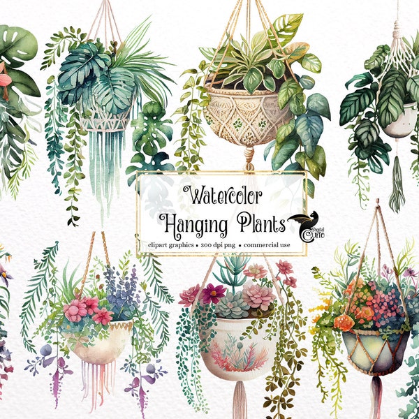 Watercolor Hanging Plants Clipart - macrame planter floral watercolor PNG format instant download for commercial use