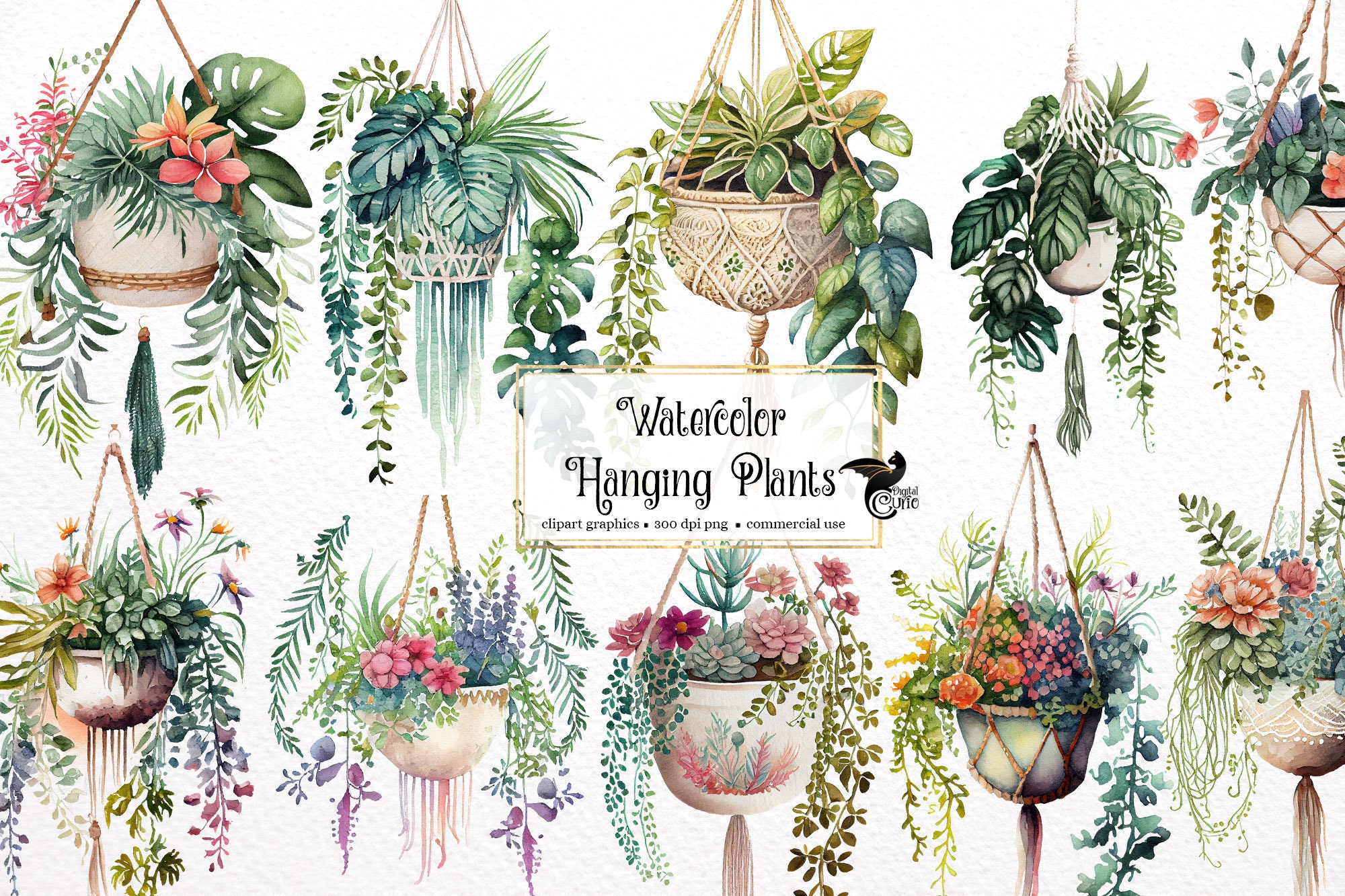 Watercolor Hanging Plants Clipart Macrame Planter Floral Etsy UK