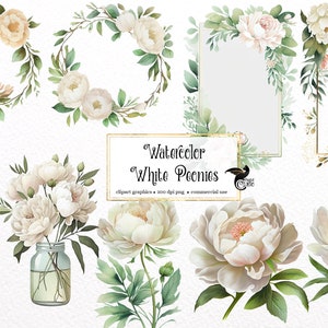 Aquarell Pfingstrose Clipart - Pfingstrosen im PNG-Format zum sofortigen Download für kommerzielle Nutzung