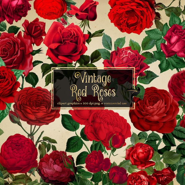 Vintage Red Roses Clipart, antique rose illustrations PNG format, vintage rose clip art graphics instant download commercial use