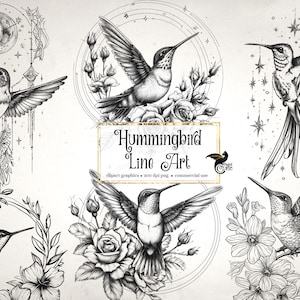 Op de afbeelding: Vijf zwart-witte lijntekeningen van kolibries met bloem- en hemelmotieven. De kolibries zijn in verschillende poses afgebeeld, waaronder vliegen, op bloemen zitten en vliegen in de buurt van een halve maan. De illustraties zijn op een witte achtergrond geplaatst.