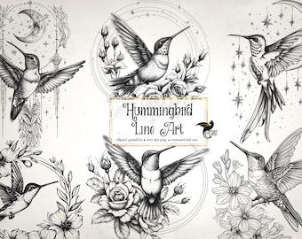 Hummingbird Line Art Clipart - Floral PNG Graphics, Collage Sheets (Digital Download)