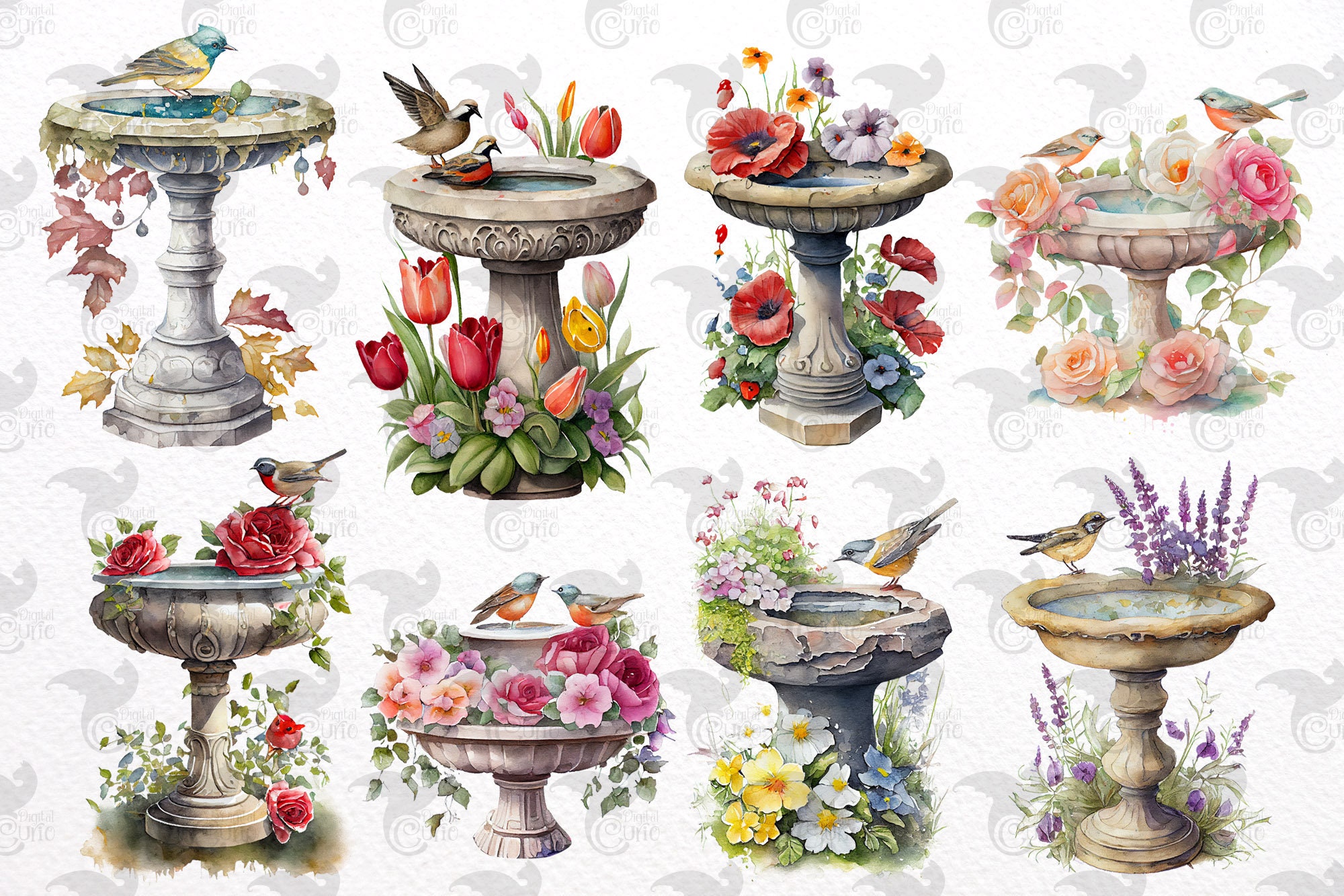 Watercolor Birdbaths Clipart Springtime Cute Garden Bird Etsy Canada
