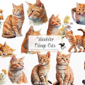 Aquarell Orange Katzen Clipart - niedliche floral getigerte Katzen und Kätzchen mit Wildblumen PNG-Format sofortiger Download für kommerzielle Nutzung