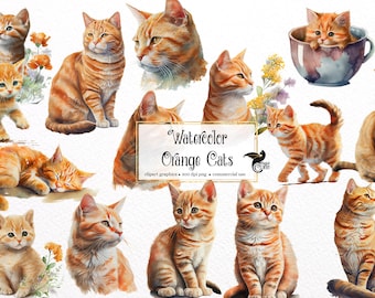 Watercolor Orange Cats Clipart - cute floral tabby cats and kittens with wildflowers PNG format instant download for commercial use