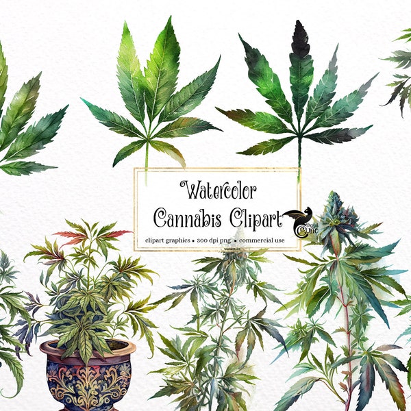 Watercolor Cannabis Clipart - green plants and leaves in PNG format instant download for commercial use