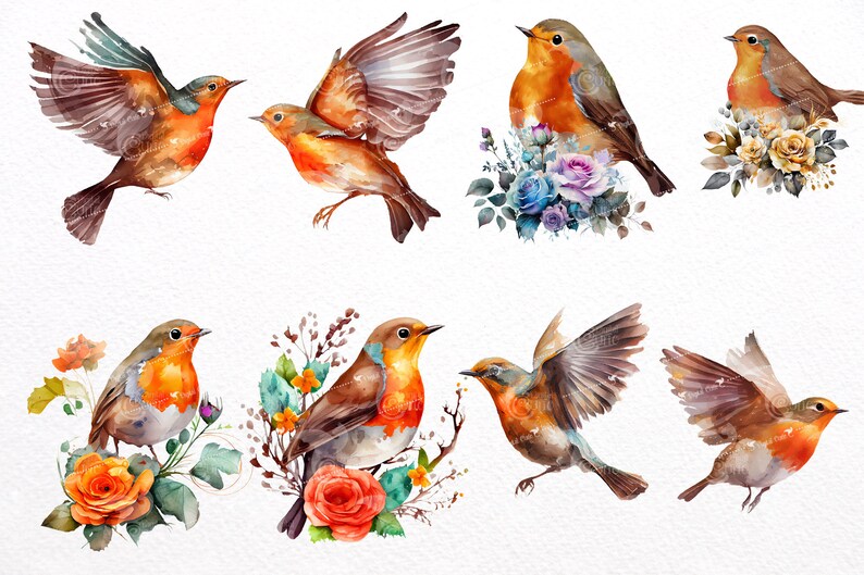 Watercolor Robins Clipart Spring Birds Blossoms PNG commercial Use watercolor-robins-clipart-spring-birds-blossoms-png-commercial-use