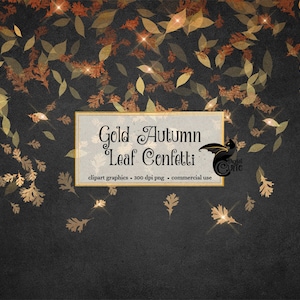 Gold Autumn Confetti Clipart, Gold Autumn Leaf PNG confetti digital Clip art Overlays, Download instantâneo digital de folhas caindo