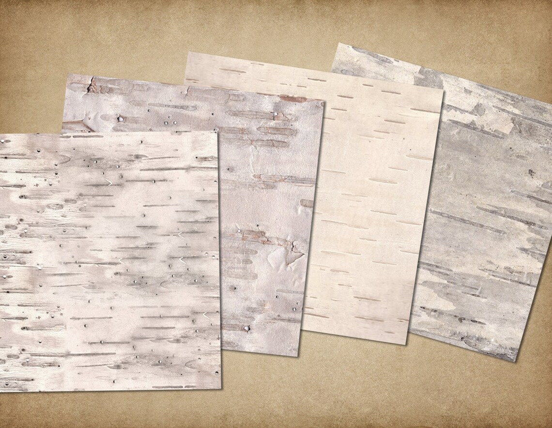 Natural Birch Bark Digital Paper birch bark textures white | Etsy