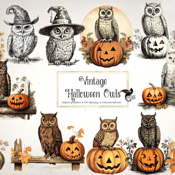 Vintage Halloween Owls Clipart, antique Halloween clip art graphics, ephemera instant download