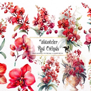 Watercolor Red Orchid Clipart - spring floral PNG format instant download for commercial use