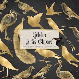 Goldene Vögel Clipart - Goldfolie Vintage Vogel Silhouetten im PNG-Format sofort download für kommerzielle Nutzung
