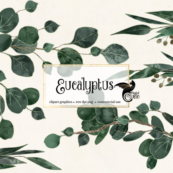 Eucalyptus Clipart - Instant download commercial use