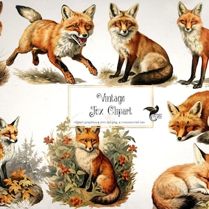 vintage Fox Clipart, graphiques d’animaux de forêt vintage, clipart d’automne antique numérique pour un usage commercial