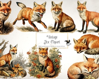 Imágenes prediseñadas de zorros vintage, gráficos de animales del bosque otoñal (descarga digital)