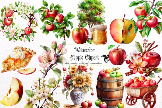 Watercolor Apples Clipart - digital png apple harvest graphics for instant download commercial use