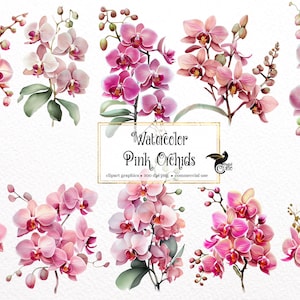 Watercolor Pink Orchid Clipart - spring floral PNG format instant download for commercial use