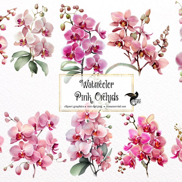 Clipart orchidée rose aquarelle - printemps floral PNG format téléchargement instantané pour un usage commercial