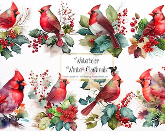 Watercolor Winter Cardinals Clipart - winter cute birds and blossoms PNG format instant download for commercial use