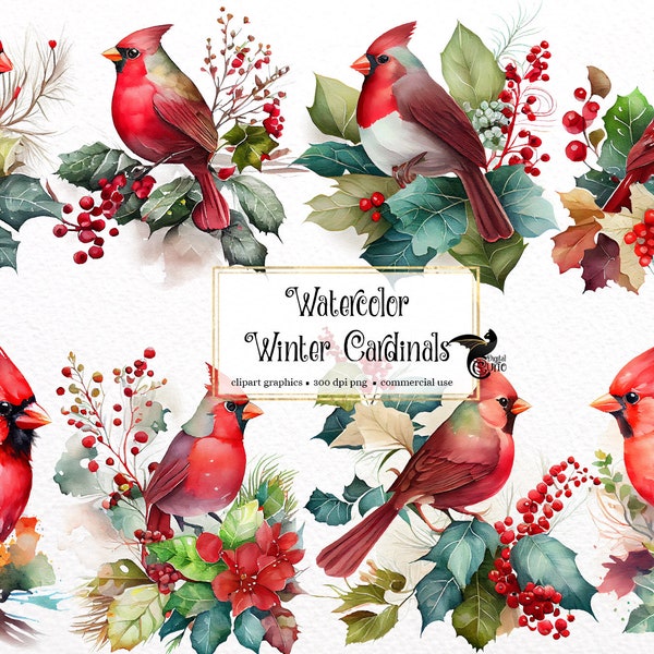 Watercolor Winter Cardinals Clipart - winter cute birds and blossoms PNG format instant download for commercial use