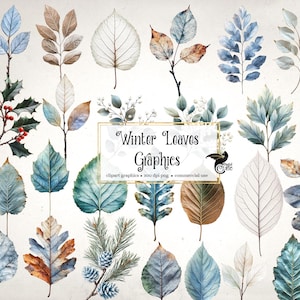Puede incluir: Ilustraciones en acuarela de hojas de invierno en varios colores, incluyendo azul, marrón y verde. La imagen presenta una variedad de formas y texturas de hojas, con algunas hojas que muestran detalles intrincados de las venas. El texto en la imagen dice "Winter Leaves Graphics".