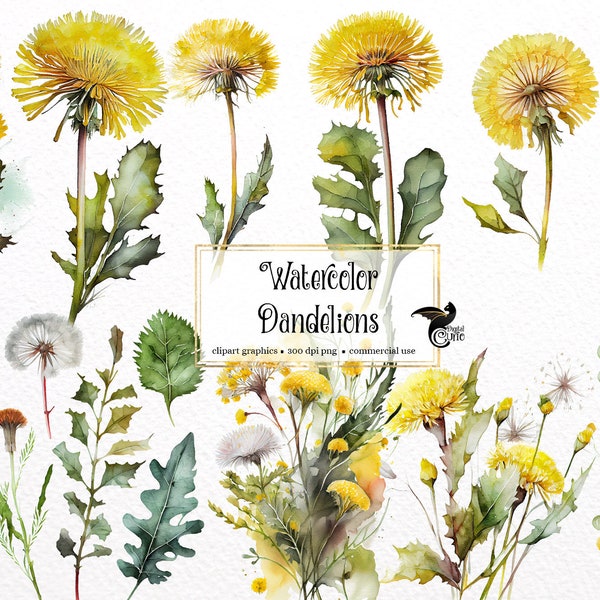 Watercolor Dandelion Clipart - floral spring wildflowers and bouquets in PNG format instant download for commercial use