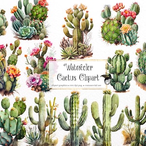 Clipart de cacto aquarela - download instantâneo em formato PNG de cactos do deserto para uso comercial