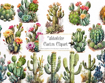 Watercolor Cactus Clipart - desert cacti PNG format instant download for commercial use