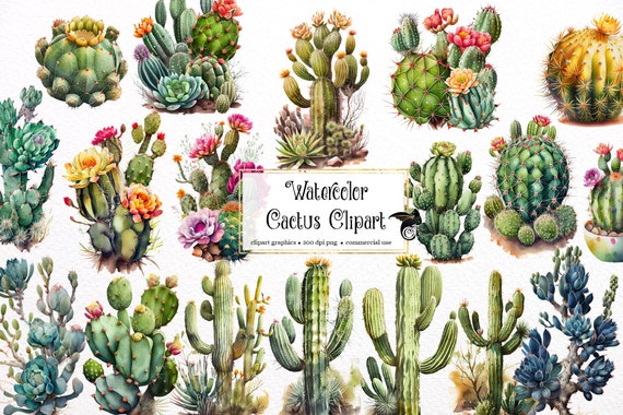 Watercolor Cactus Clipart - desert cacti PNG format instant download for commercial use