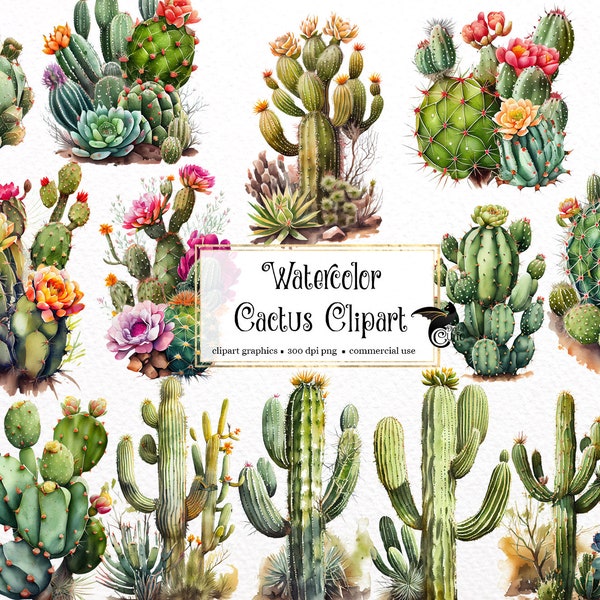 Watercolor Cactus Clipart - desert cacti PNG format instant download for commercial use