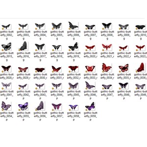 May include: A collection of 60 digital images of butterflies in various colors and patterns, including black, white, red, and purple. The butterflies are arranged in rows and columns, and each image is labeled with a unique identifier.