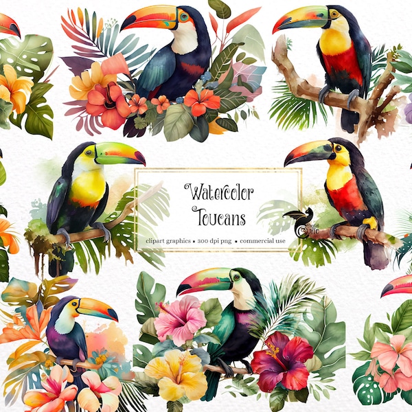 Watercolor Toucans Clipart - tropical birds with hibiscus and leaves in PNG format instant download for commercial use