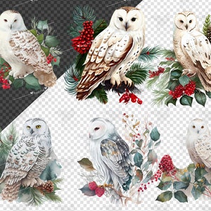 May include: Six watercolor illustrations of snowy owls perched on branches with winter foliage and red berries. The owls are white with brown markings and have yellow eyes.