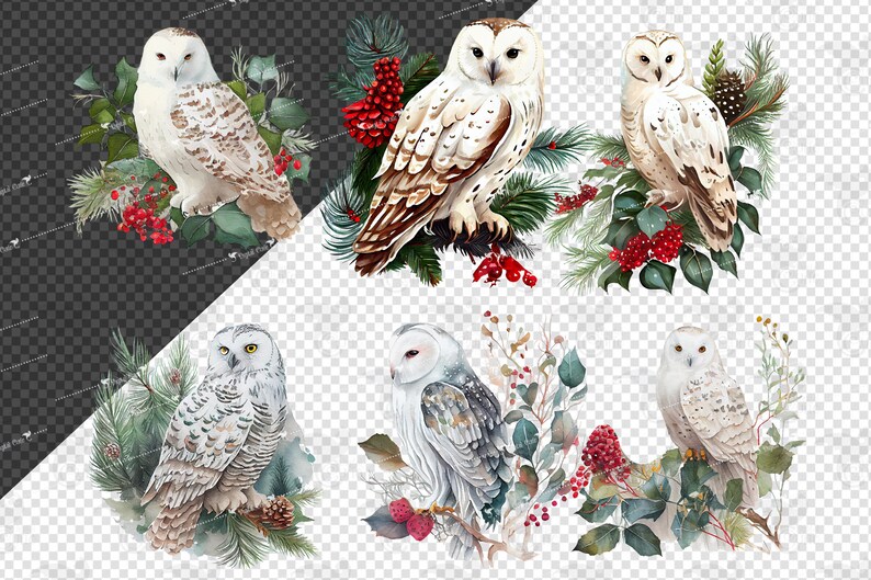 May include: Six watercolor illustrations of snowy owls perched on branches with winter foliage and red berries. The owls are white with brown markings and have yellow eyes.
